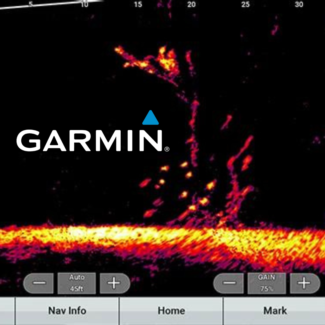 Garmin Livescope