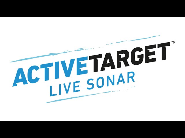 Lowrance Active Target 2 Live Sonar