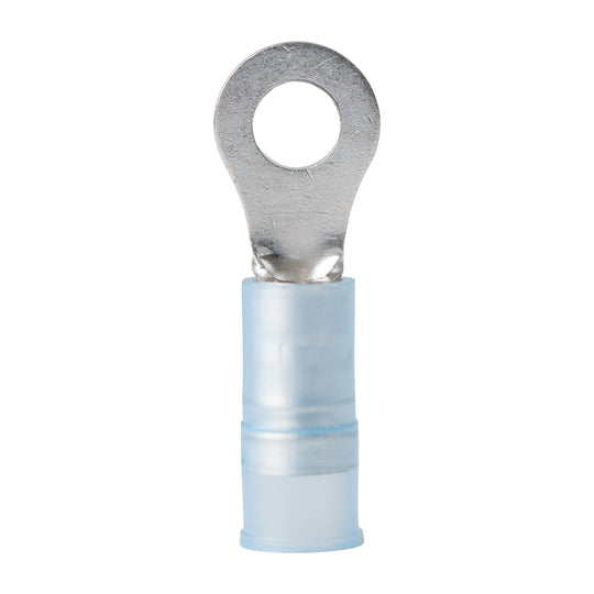 Ancor 16-14 AWG - #8 Nylon Ring Terminal - 100-Pack [220212] - Premium Terminals from Ancor - Just $25.99! Shop now at Brushy Creek Marine